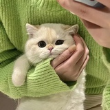 予信望