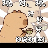 你说的都对