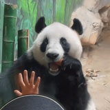 染小柒