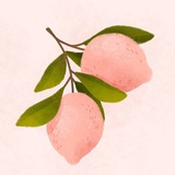 野生動物沒有園