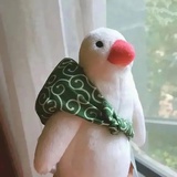 进击的小小丸子