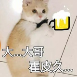 卡卡卡卡拉