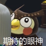 秃秃子