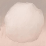 Sleepwalker