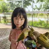 冯小喵
