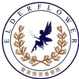 爱芙悦芳疗教育