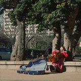 Windy-Rachel