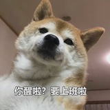 毛线
