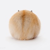 Süß