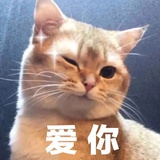 好大的日