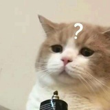 异闻录
