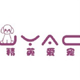 宠物美容培训