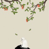 猫影