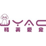 想学宠物美容