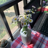 拾日新