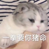 求你动动脑子吧
