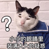 爻