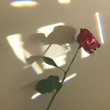 宇宙中的一粒尘