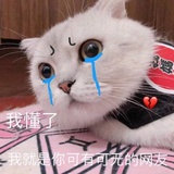 蹲坐仓库的🐱