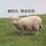 押尾注