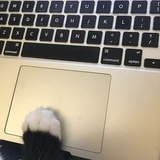 发发