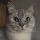 樂風軒