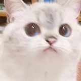 未注销