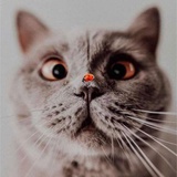 @ 太一