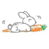 爪爪