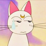 ʚ过汪汪ɞ