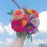 万能星球市民乙