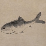tin