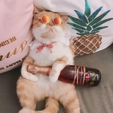 fifififi