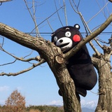 成为万众的唯一