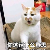 小牙刷