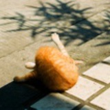 柜花鸡蛋酒酿丸