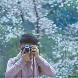 弦叔