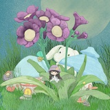 lily