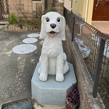 DanC