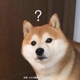 漂浮