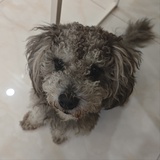 我与我周旋久