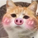 小怪兽行于世间