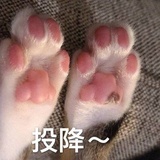 耶喽黄