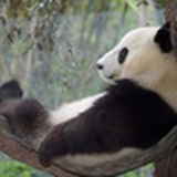 仍是少年
