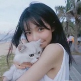 遥遥如月