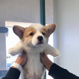积雨云