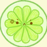 柏拉图不是图