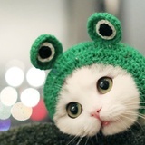 猴儿