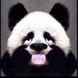 肥腻肥腻有财气