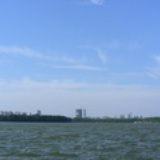 大象